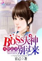 天价追妻：BOSS大神别过来