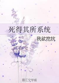 死得其所系统